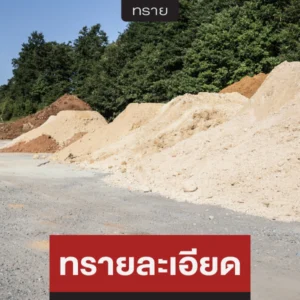 ทรายละเอียด