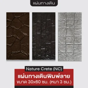 NC แผ่นทางเดินพิมพ์ลาย 30x60 ซม.